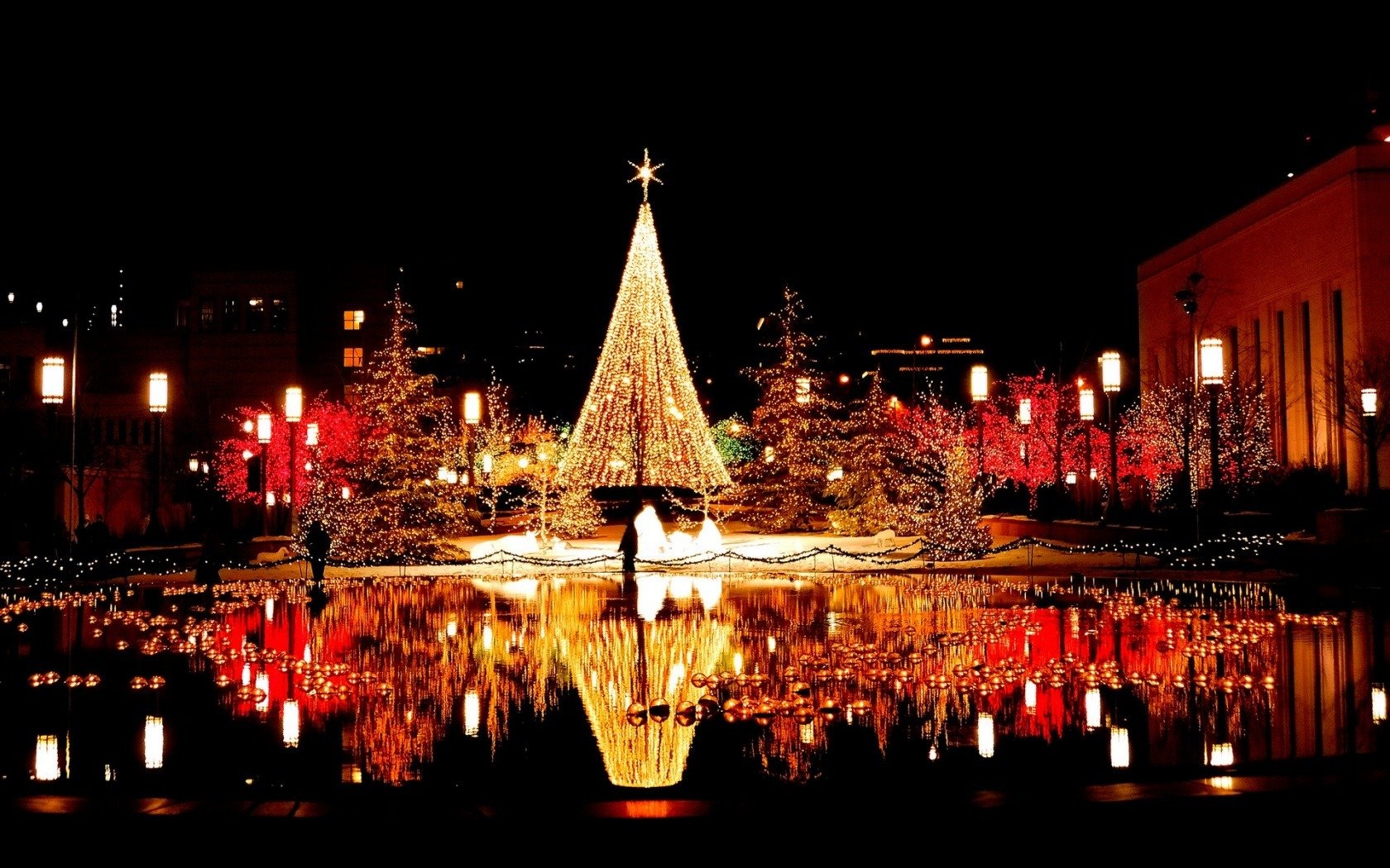 notte città piazza luci ghirlande acqua riflessione
