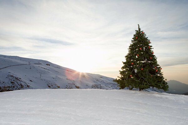 Montagne invernali e albero di Natale decorato