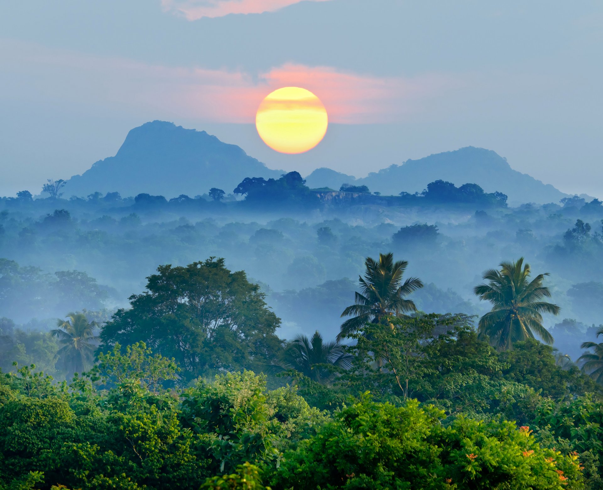 tropici foresta montagne nebbia alberi palme sole alba bellezza