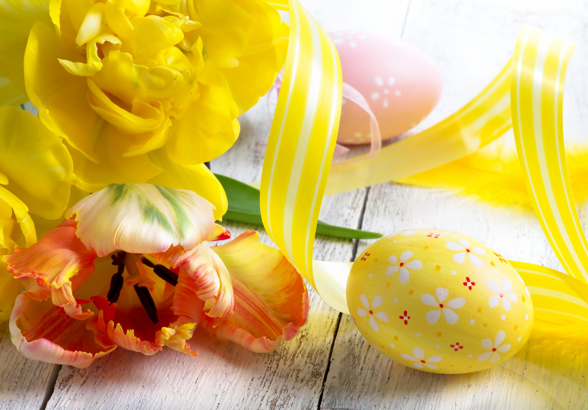 vacanze pasqua tulipani uova giallo fiori foto