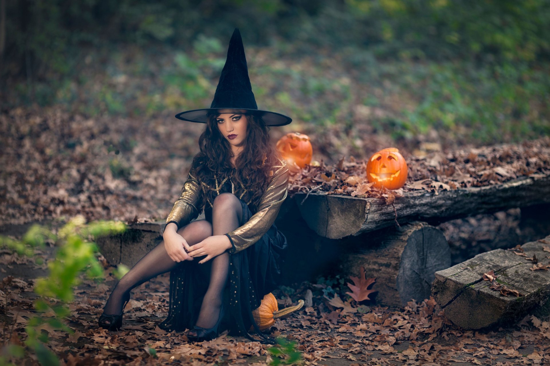 halloween strega strega zucca