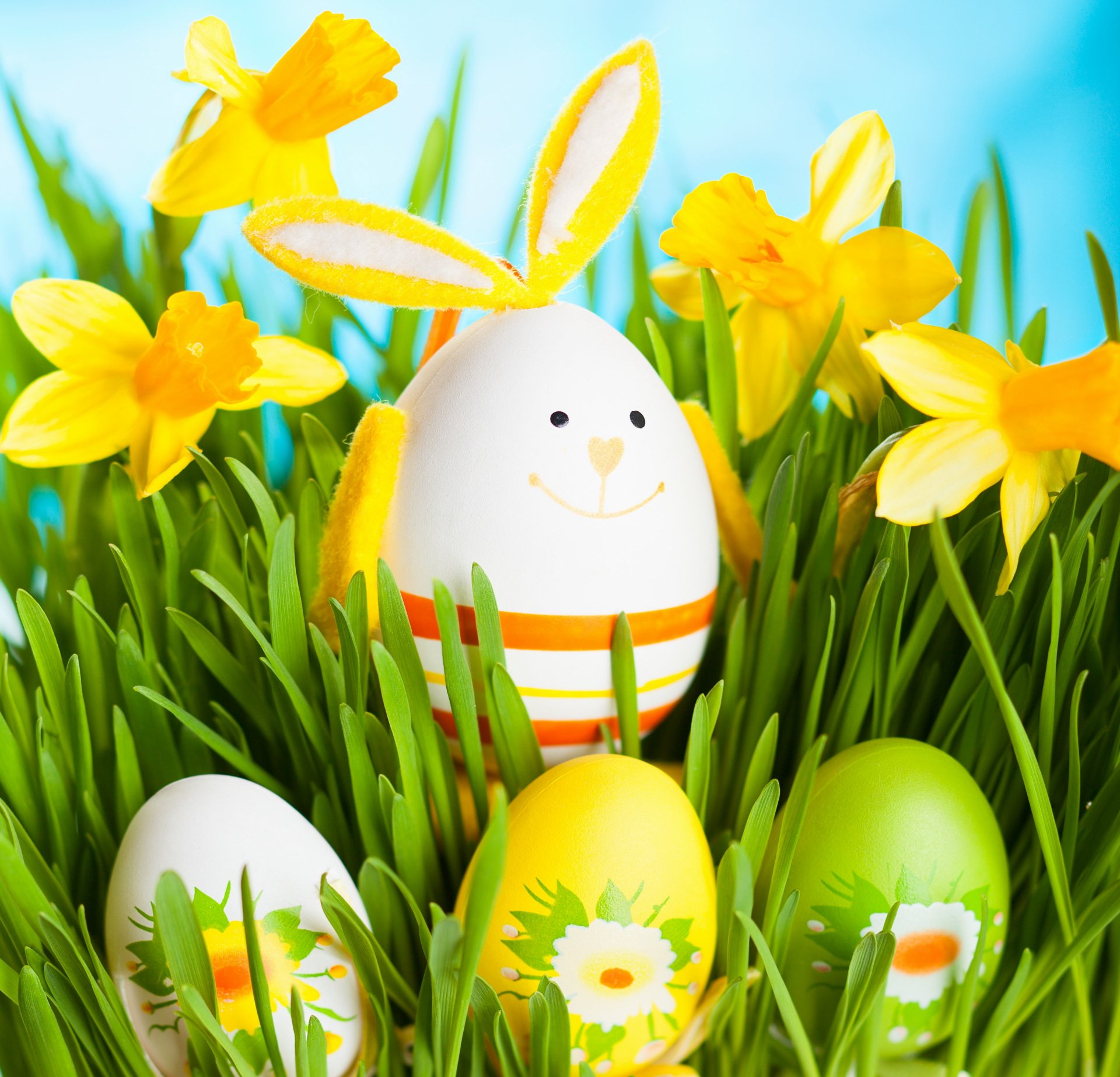 pasqua coniglio primavera narcisi erba fiori uova primavera
