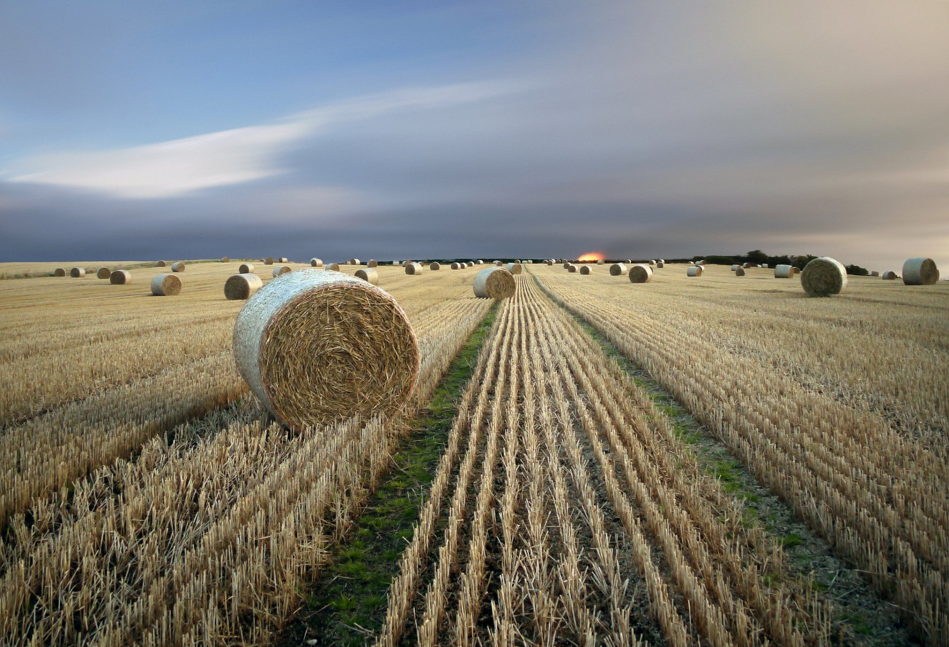 campo fieno paesaggio