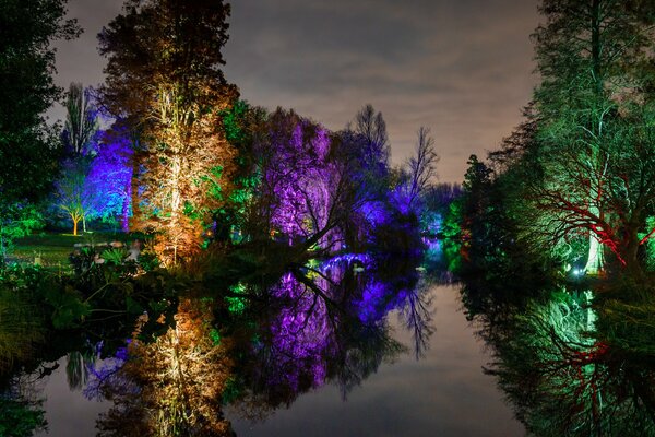 Notte nel parco. Gli alberi brillano. Bellissimo stagno nel parco