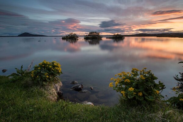 Sul paesaggio si possono vedere le sottigliezze della natura questo Tramonto, riva, irresistibile