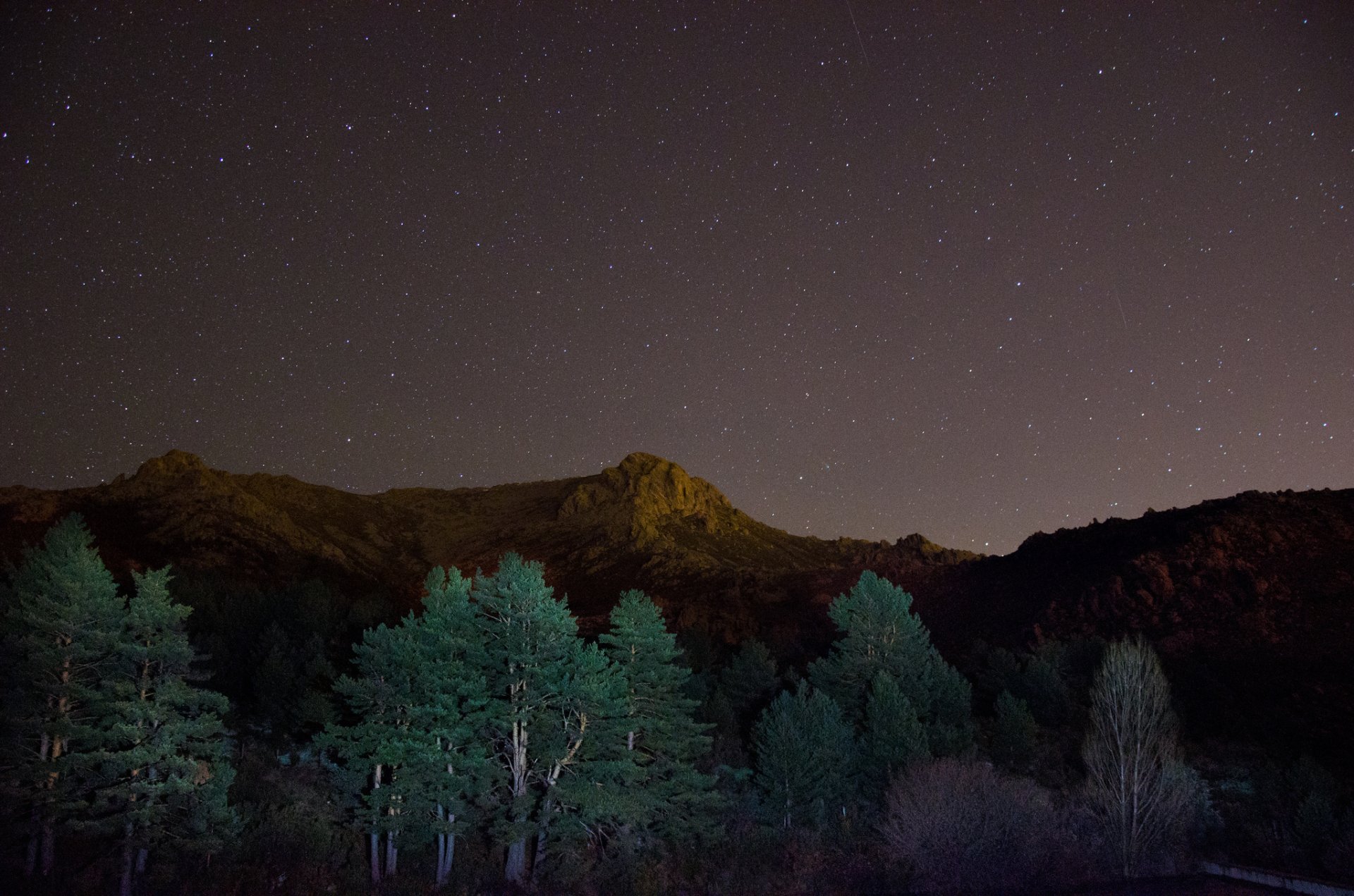 montagne alberi notte stelle