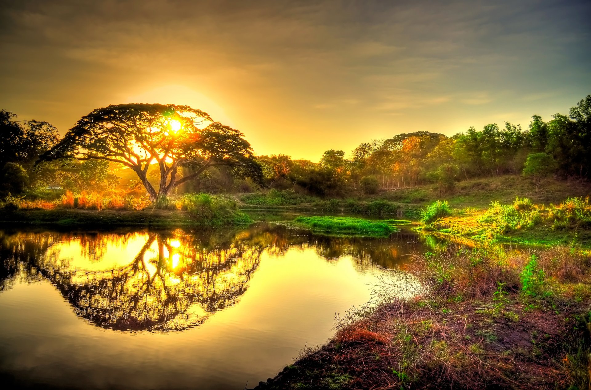 cielo tramonto sole albero foresta stagno riflessione
