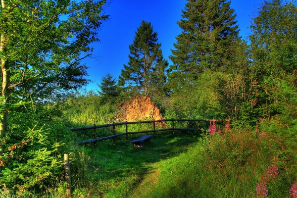 Paesaggio dell Assia della Germania con panchina