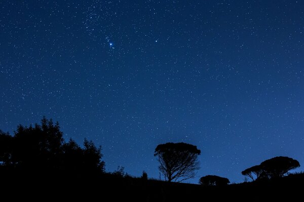 Vista del cielo notturno con le stelle in Italia