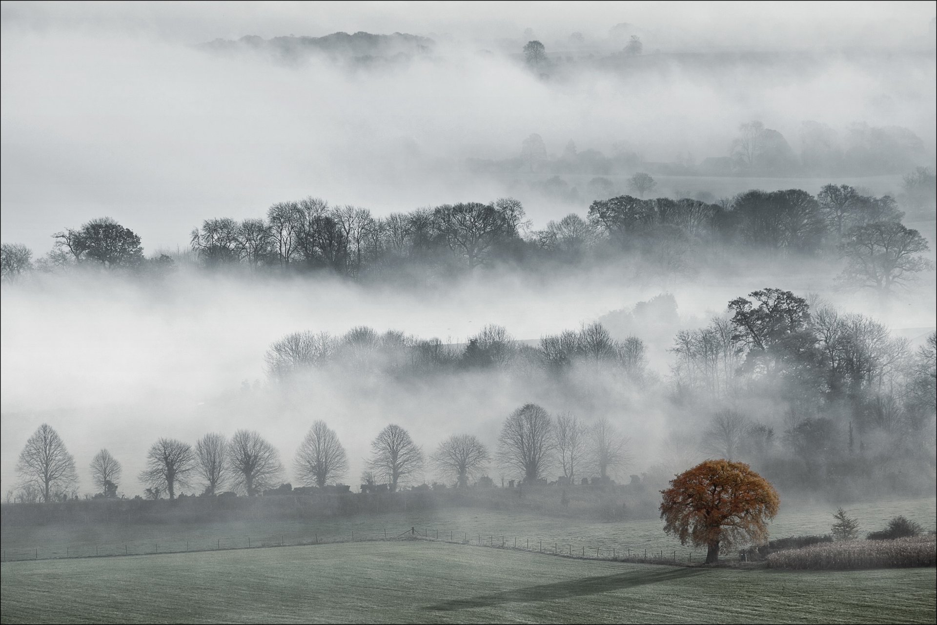 inghilterra wiltshire contea valle di peucy autunno nebbia