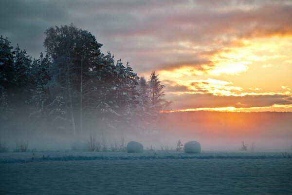 Bellissimo inverno settentrionale in Svezia