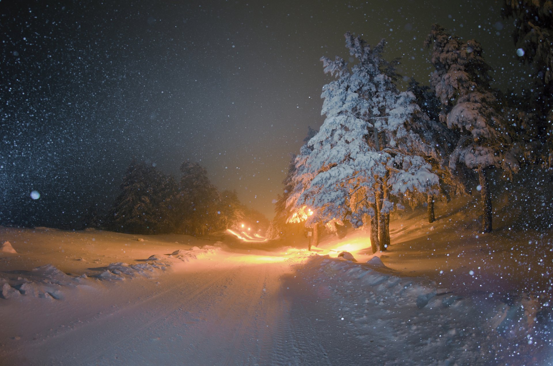 inverno neve alberi di natale strada notte lanterne illuminazione nevicata