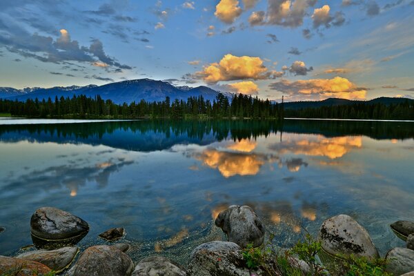Foresta e montagne vicino al lago con pietre