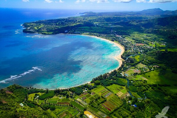 Sulla spiaggia con sabbia dorata molo