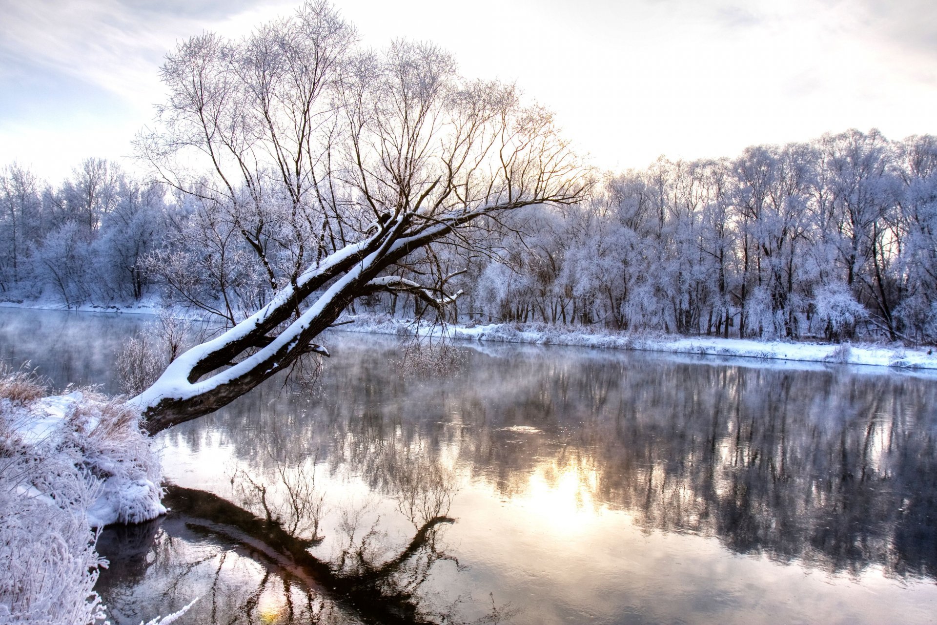 inverno fiume ramo foresta congelata natura paesaggio stagione fredda paese delle meraviglie inverno freddo gelo innevato alberi fiume natura paesaggio riflessione