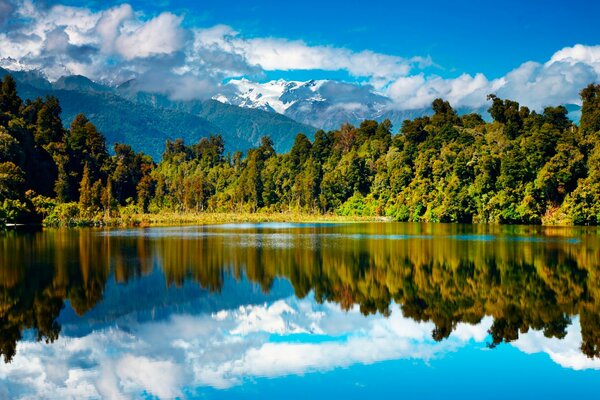 Lago foresta e montagne in Nuova Zelanda