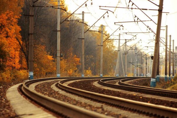 Paesaggio della pista ferroviaria in autunno