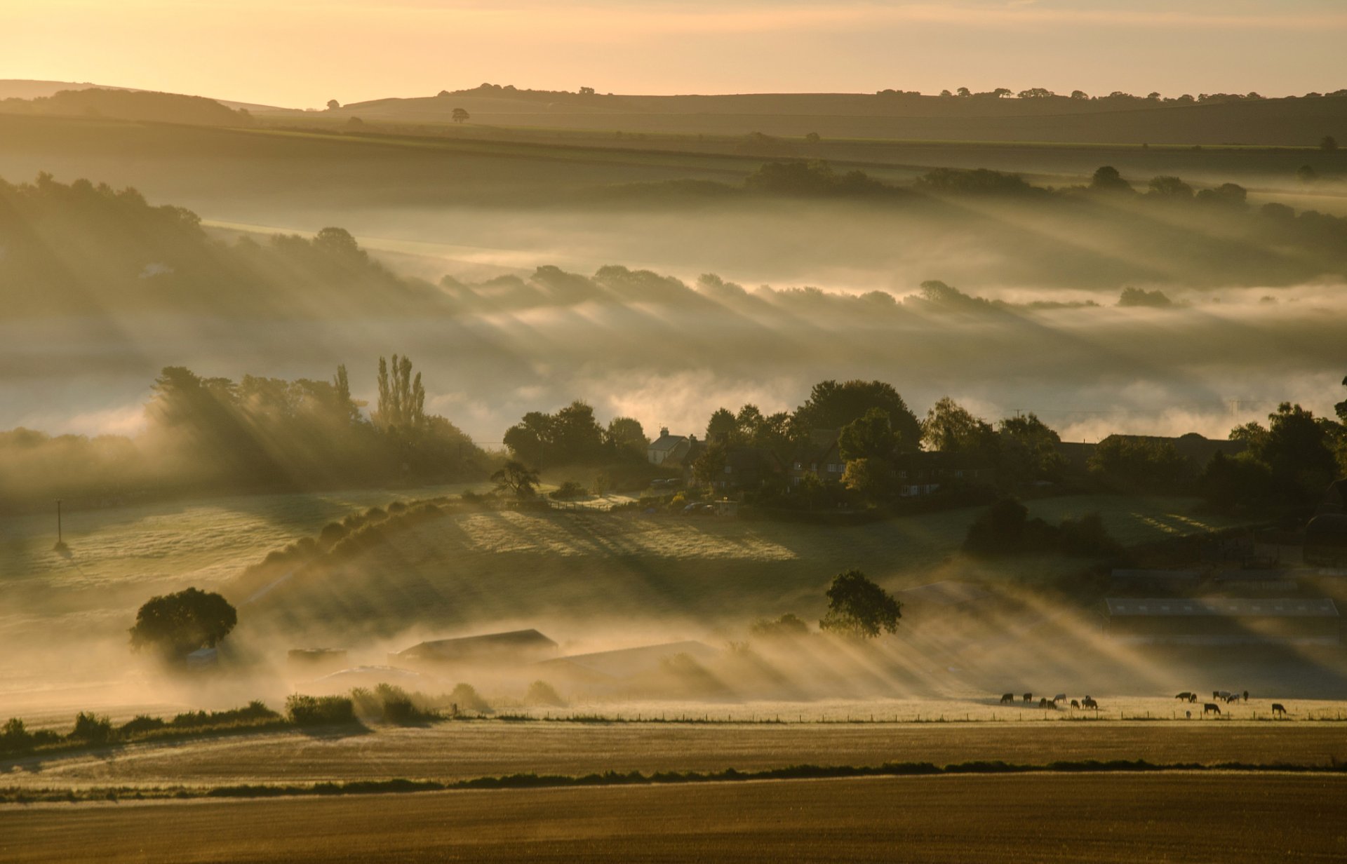 cielo mattina colline nebbia campo alberi