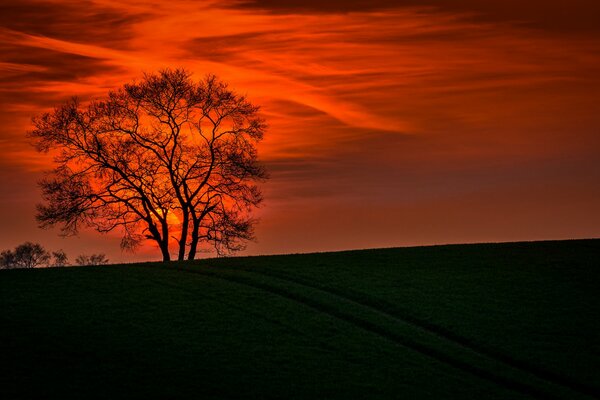 Immagine del paesaggio sullo sfondo del tramonto