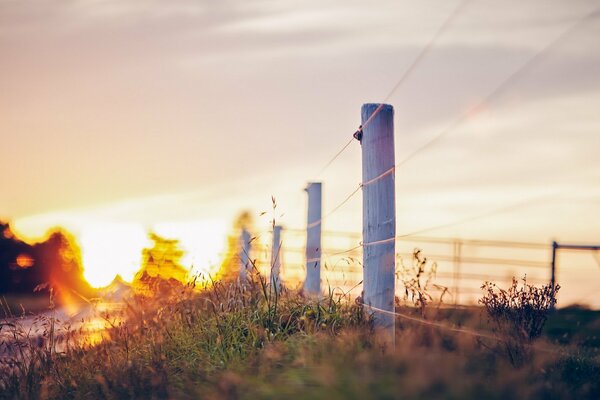 Recinzione vicino alla strada. Paesaggio