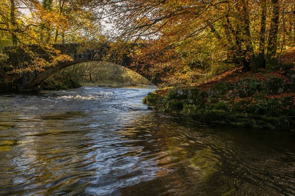 Ponte sul fiume in autunno