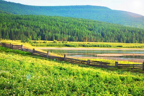 Paesaggio rustico. Patate in fiore. Recinzione in legno vicino al fiume