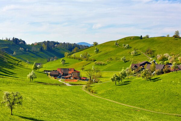Fattoria nella valle verde