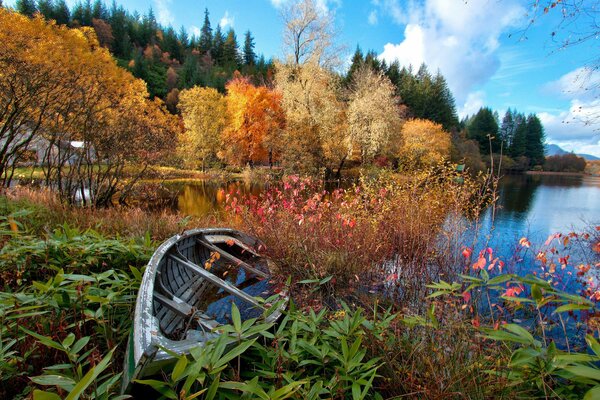 Paesaggio autunnale in riva al lago