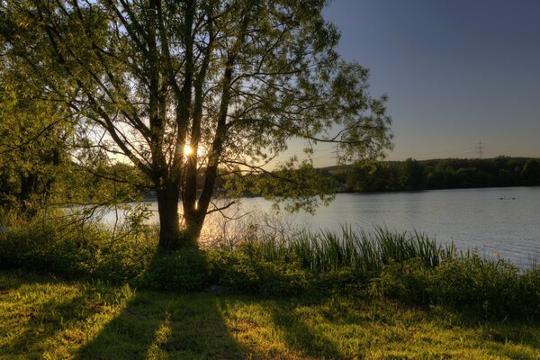 Alba sul lago con i raggi luminosi del sole