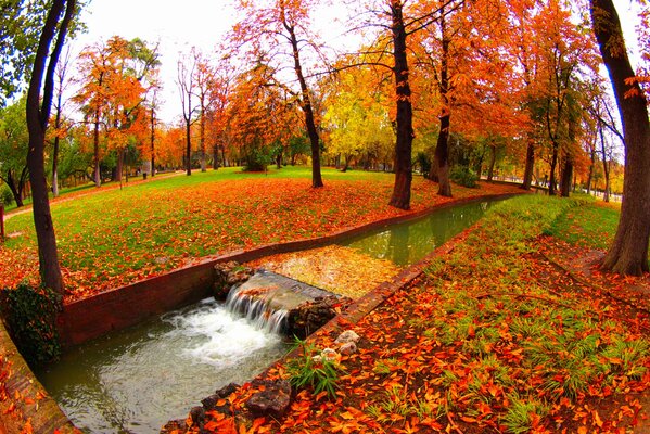 Ruscello nel parco autunnale